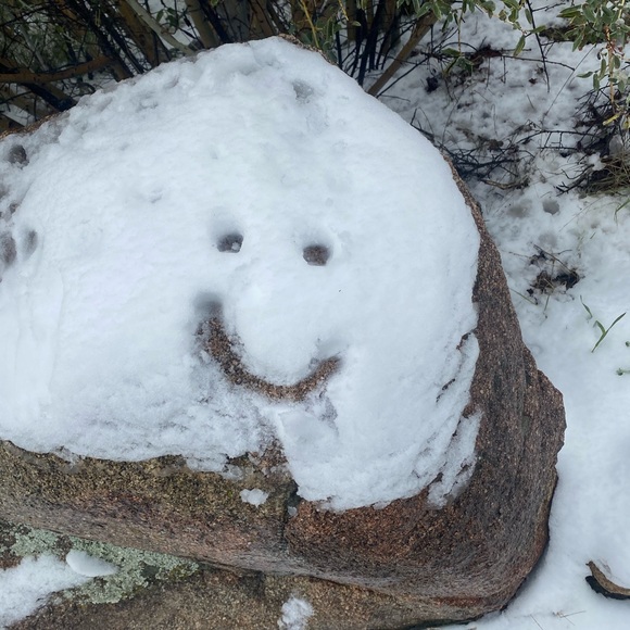 Meet your Posher, Phoenix - Picture 1 of 1